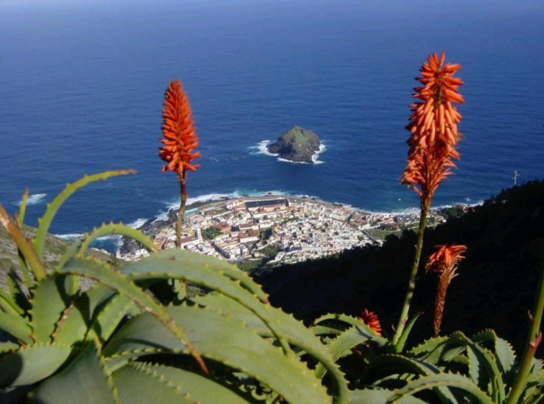 Apartamento Playa San Marcos อิคอดเดลอสวินอส ห้อง รูปภาพ